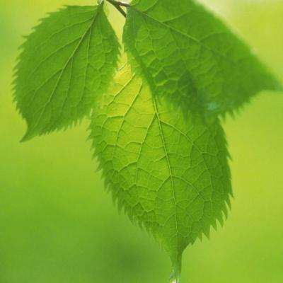 吉普车公园停靠