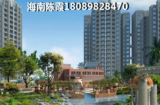 青苑能生纸吗？